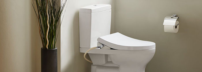 Close Coupled Toilets